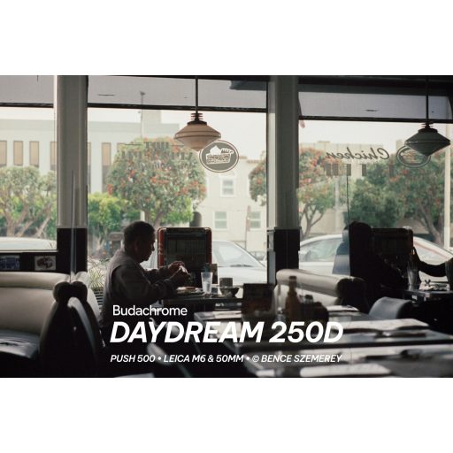 Budachrome DAYDREAM - ISO 250, 35MM