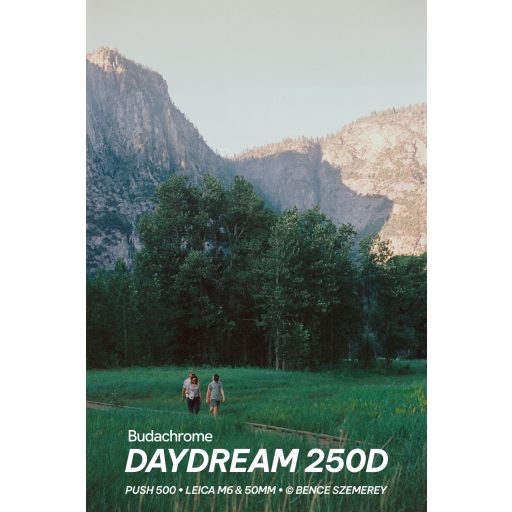 Budachrome DAYDREAM - ISO 250, 35MM