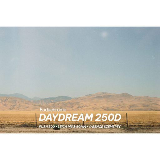Budachrome DAYDREAM - ISO 250, 35MM