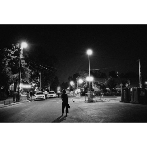 Budachrome MONO - ISO 200, 35MM