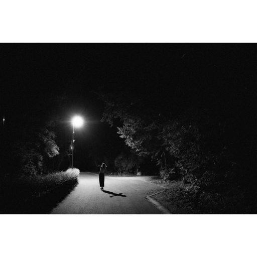 Budachrome MONO - ISO 200, 35MM