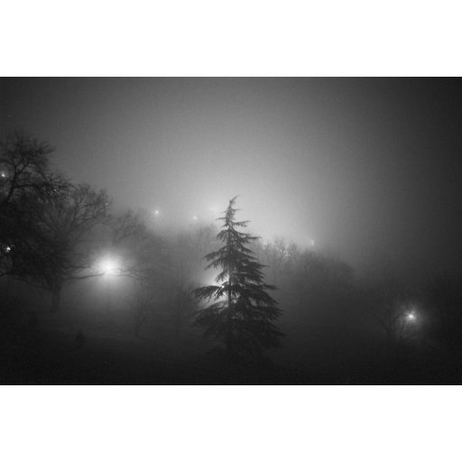 Budachrome MONO - ISO 200, 35MM