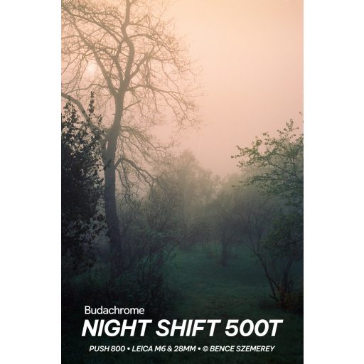Budachrome NIGHT SHIFT - ISO 500, 35MM